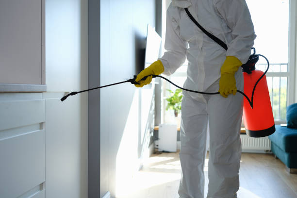 Best Attic Mold Remediation in Allouez, WI